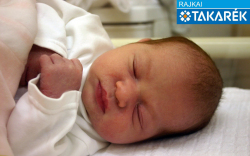 Sági Péter, Mosonmagyaróvár