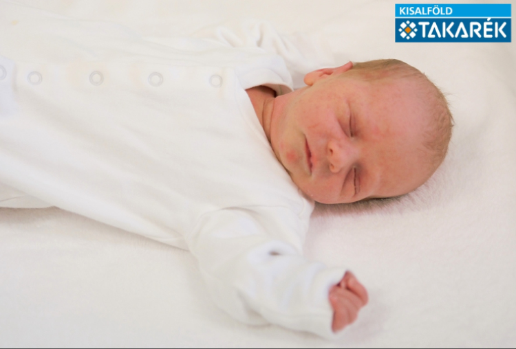 Szarka-Bella Nándor, Darnózseli