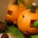 X. Jánossomorjai Tökfesztivál (Fotó: Horváth Attila)