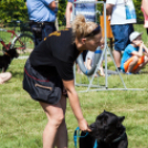 A mosonmagyaróvári kutyafuttató megnyitója