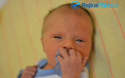 Bogár Bálint, Mosonmagyaróvár