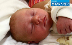 Kertész Péter Kristóf, Mosonmagyaróvár