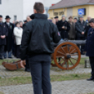 2015. MÁRCIUS 15. Mosonmagyaróvár (Fotó: Horváth Attila)