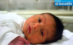 Gyovai Ferenc, Bősárkány