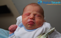 Pap Lázár, 3750 gr. Halászi-Arak