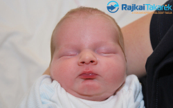 Vajda Marcell, 3370 gr. Abda