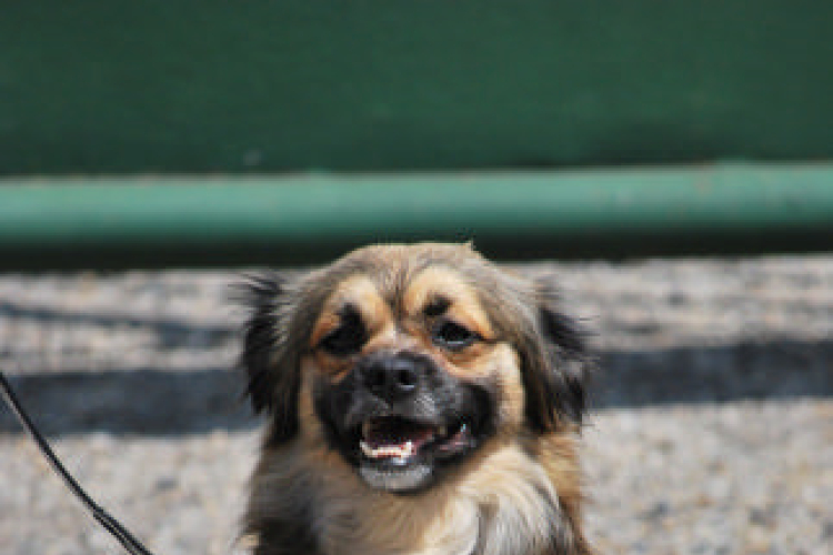 Családi nap a Gyerekek Átmeneti Otthonában