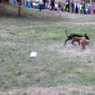 XI. Szigetköz ízei, Vármegye borai Fesztivál 3. nap