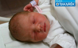 Baranyai Rebeka, Lébény