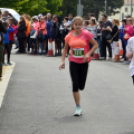 XIV. Greiner Szigetköz Félmaraton