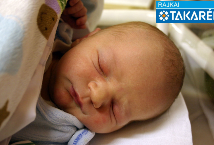 Virág Domonkos, Csorna