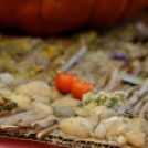 X. Jánossomorjai Tökfesztivál (Fotó: Horváth Attila)