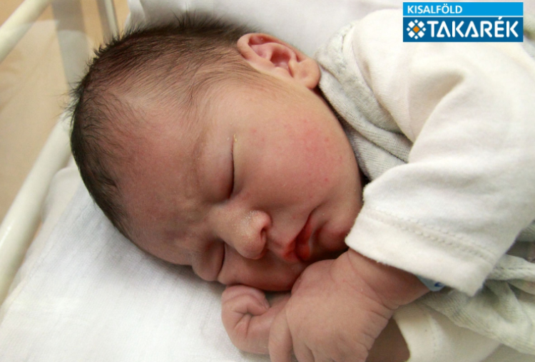 Farkas Ádám, Mosonmagyaróvár