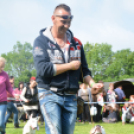 CAC kutyakiállítás (Fotó: Nagy Mária)