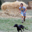 XI. Szigetköz ízei, Vármegye borai Fesztivál 3. nap 