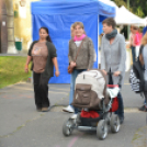 Szigetköz ízei, vármegye borai fesztivál - péntek (Fotó: Nagy Mária)