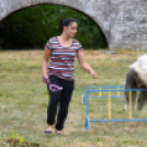 XI. Szigetköz ízei, Vármegye borai Fesztivál 3. nap 