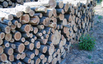 Kézre került a tüzifatolvaj