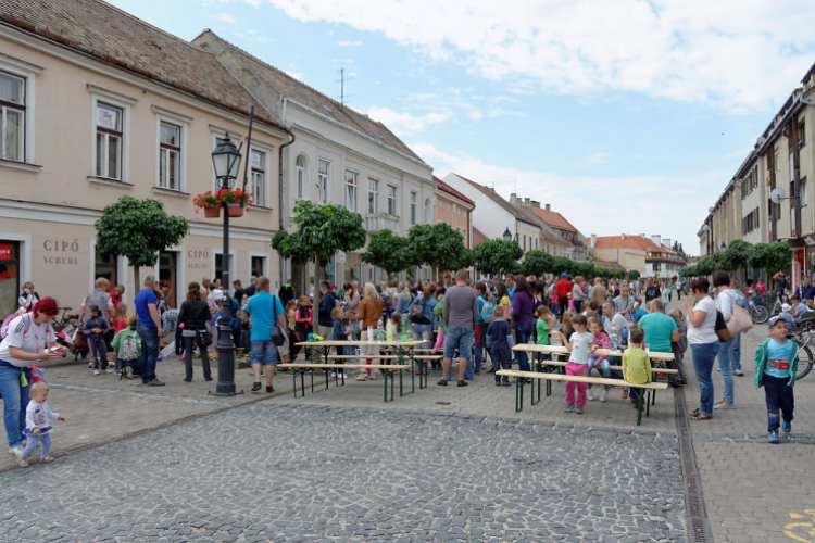 Apró kezek, csodakertek kertépítő verseny (Fotó: Horváth Attila)