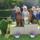 CAC kutyakiállítás (Fotó: Nagy Mária)