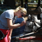 XI. Szigetköz ízei, Vármegye borai Fesztivál 2. nap Várárok