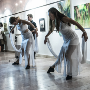 Art Flexum Művészeti Társaság Téli Tárlata