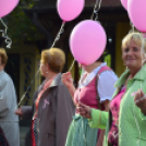 Lajta hídi séta 2015 (fotó: Patács Judit)