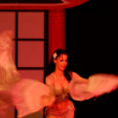 Japán Kert (Fotó: Horváth Attila)