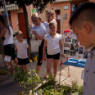 Apró Kezek, Csodakertek