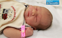 Szigeti Flóra, Mosonmagyaróvár