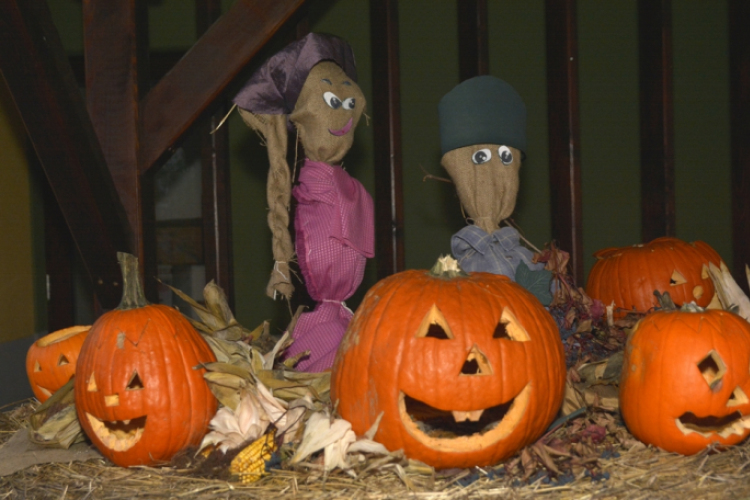 Pillangó Óvoda és Mini Bölcsőde - Családi nap