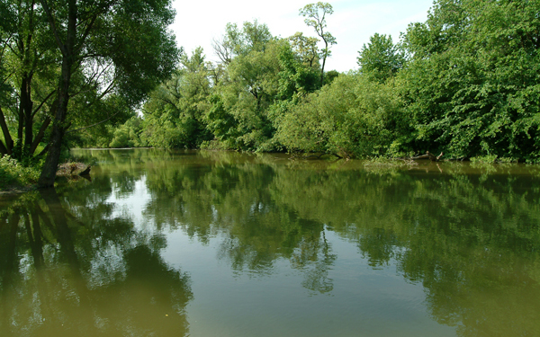 Elárasztják a hullámteret