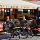 KULT-UTCA - Prózai líranap