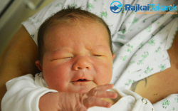 Hegedüs Gábor Tibor, 3960 gr. Móvár