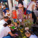 Apró Kezek, Csodakertek