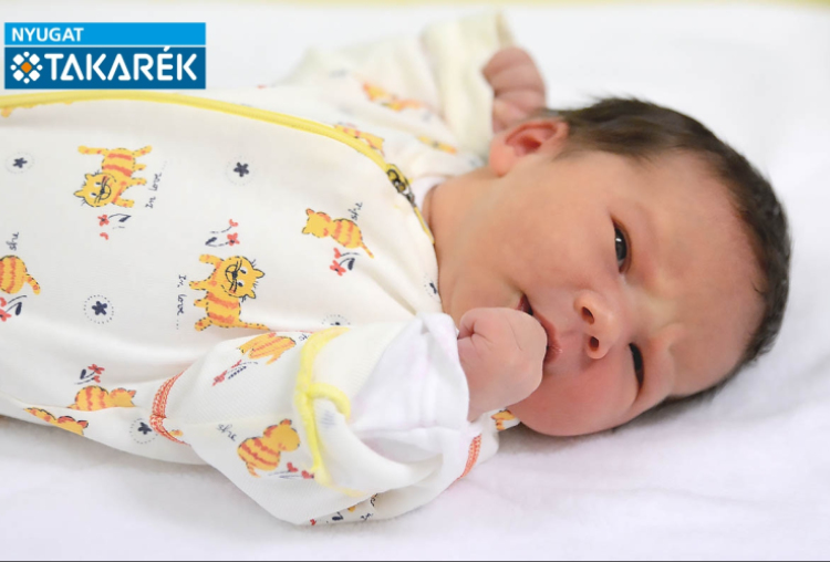 Illés Noémi, Halászi