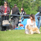 CAC kutyakiállítás (Fotó: Nagy Mária)