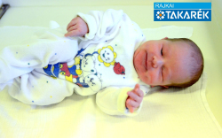 Németh Zádor, Jánossomorja