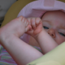 2 Kéklámpás nap (Fotó: Nagy Mária)