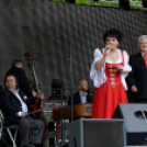 VÁROSI MAJÁLIS 2015 (Fotó: Horváth Attila)