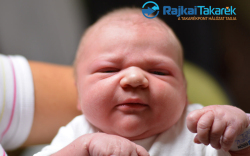 Vojmisek Adél, Mosonmagyaróvár