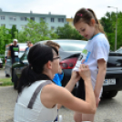 XII. Greiner Szigetköz Minimaraton (Fotó: Horváth Attila)