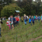 Labirintus és kilátó avatás Mosonmagyaróváron