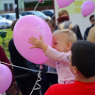 Lajta hídi séta 2015 (fotó: Patács Judit)