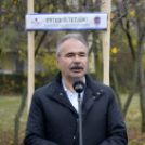 Országfásítási program Mosonmagyaróvár