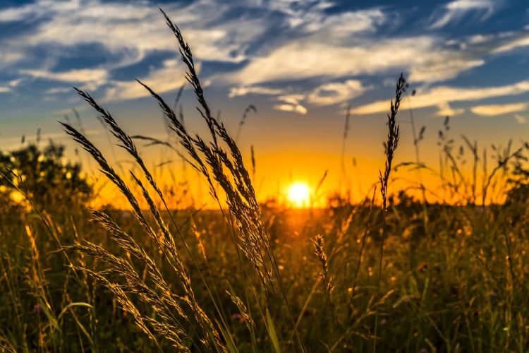 Jellemzően napos, de az átlagosnál hűvösebb idő várható a héten