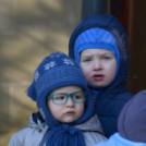 Madaras nap a Pillangó Óvoda és Mini Bölcsődében 