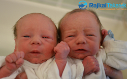 Horváth Bálint és Kristóf, 2350 gr és 22