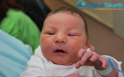 Köteles Dorka, 3710 gr. Kimle