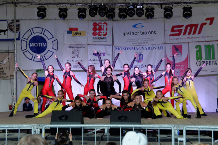 Szigetköz ízei, vármegye borai fesztivál / VÁRMEGYE SZÉPE - VÁRMEGYE HANGJA (Fotó: Horváth Attila)